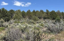 Medicine Mountain Drive, Beatty, OR 97621