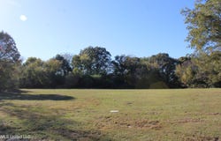 113 Bull Horn Road, Como, MS 38619