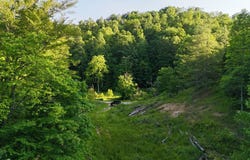 0 Calico Fork Rd, Louisa, KY 41230