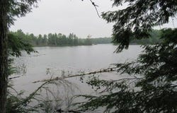 On ARBOR LN, WI 54538