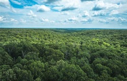 Tbd Geronimo Springs Road-Tract 2, Macks Creek, MO 65786