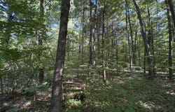 104th Avenue, Allegan, MI 49010
