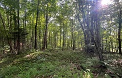 00 Stone Rd, Pitcairn, NY 13648