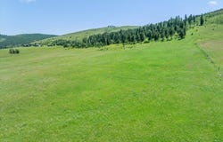 Lot 9 Mattson Lane, Sturgis, SD 57785