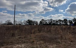 County Road 6, Black, AL 36340