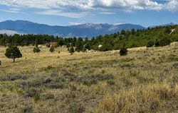 1054 Keepsake Loop, Westcliffe, CO 81252