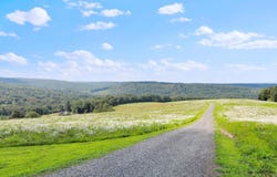 542 BANE CUTOFF ROAD, ELK GARDEN, WV 26717