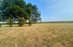 1203  Highway 67, Corning, AR 72422