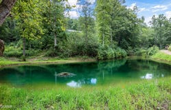 201 Flat Rock Way, Del Rio, TN 37727