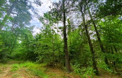71 Eagle Pine Ln, Broken Bow, OK 74728