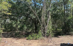 1631 NE 123RD Terrace, WILLISTON, FL 32696