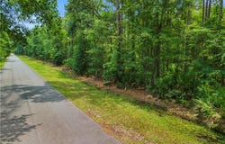 0 Manchester Road SE, Townsend, GA 31331