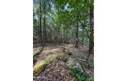 Deer Run lot: 35, Becket, MA 01223