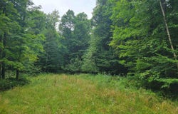 0 ST. JOHNS LANE, Crandon, WI 54520