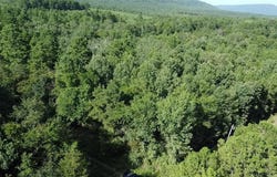 Dardanelle, AR 72834