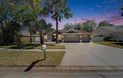 12523 RIVER BIRCH DRIVE, RIVERVIEW, FL 33569
