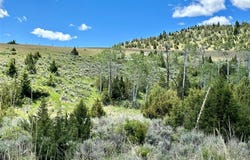 Parcel 1 Valley View Highlands II, Ennis, MT 59729
