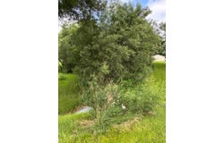 N2473 Carnie Road, Monroe, WI 53566