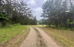 8536 E 5 MILE ROAD, LUTHER, MI 49656
