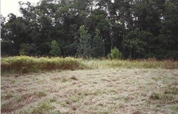 184 Guitar Drive, Sebring, FL 33870