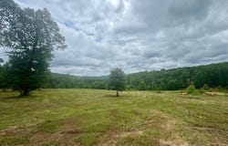 Peaceful Home Lane, Natural Dam, AR 72948