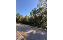 County Rd. 310 and 308, JACK, AL 36346