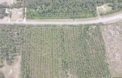 Tbd N STATE ROAD 121, ALACHUA, FL 32615