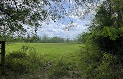260 Box Elder Roads, Broken Bow, OK 74728