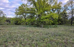 Cedar and 12th Street, Evart, MI 49631
