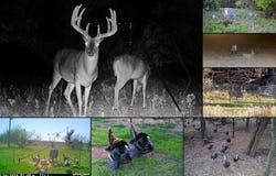 Tbd County Road 105 N, Vernon, TX 76384