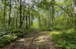Xxx McGrew Rd, Isle, MN 56342