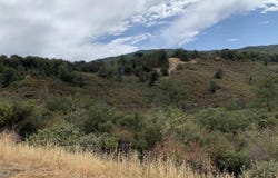 Incense Cedar Rd, Julian, CA 92036