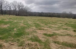 Tract 4 HWY 14 E, Mountain View, AR 72560