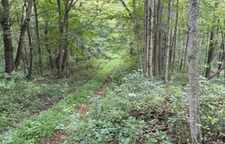 27321 Wolf Cemetery Rd., McAurther, OH 45651