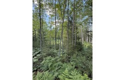50 acres Herron Road, Alpena, MI 49707