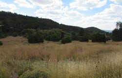 N 14, Cedar Crest, NM 87008