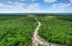 420 Acres Columbia Highway N, Ridge Spring, SC 29129