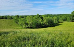 112 Acres Keefer Road, Corinth, KY 41010