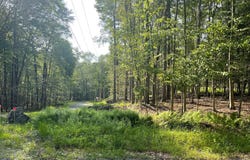 Evergreen Drive, Greentown, PA 18426