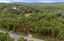 584 Timberline Trail, Broken Bow, OK 74728