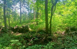 00 Kasson Road, Topsham, VT 05076