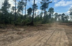 PID 28084 County Divide Road, Pineland, TX 75968