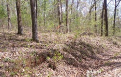 4.00 Creekview Drive, Rainbow City, AL 35906
