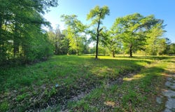 215 Frog Hollow Street, Varnville, SC 29944