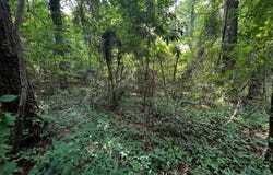 25 & 26 Sr 1184 Road, Chocowinity, NC 27817
