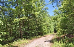 272 Kako Ridge lot: 64, Sylva, NC 28779