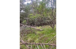 Hilea Ct lot: 628, Bastrop, TX 78602