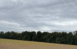 County Road 159, Kenton, OH 43326