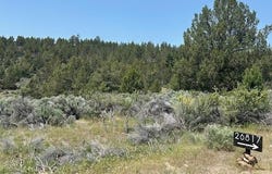 Lassen Street, Sprague River, OR 97639