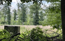 Flach Road, Vicksburg, MI 49097